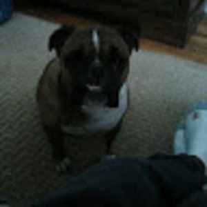 Meet your Posher, Shawn